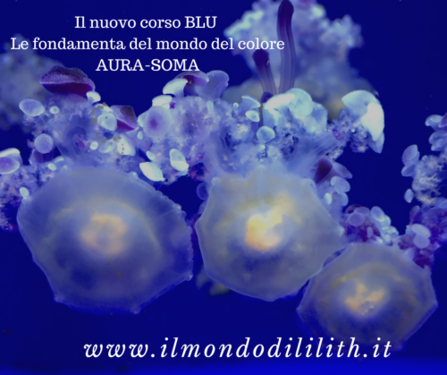 Il nuovo corso Blu Aura-soma con Francesca Miceli Lilith